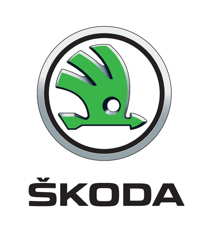 SA_3D_Standard_logo_1