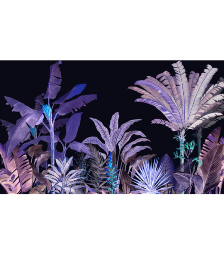 Dark Palm Wonders