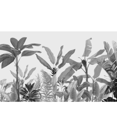 Tropical Foliage in Monochrome