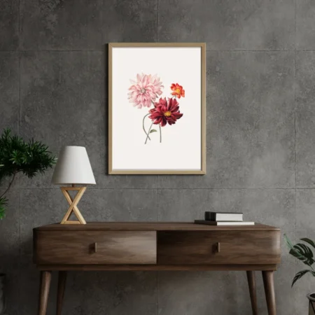 Dahlia delight