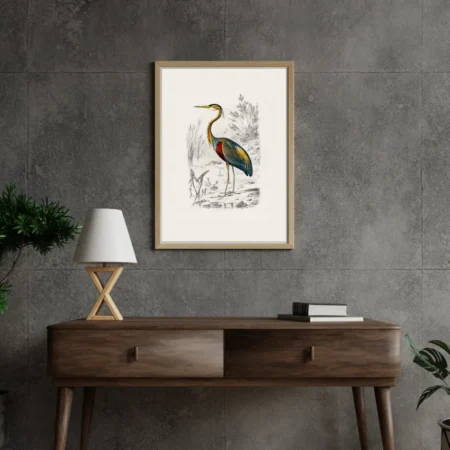 Heron in the wild