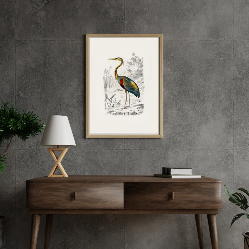 Heron in the wild