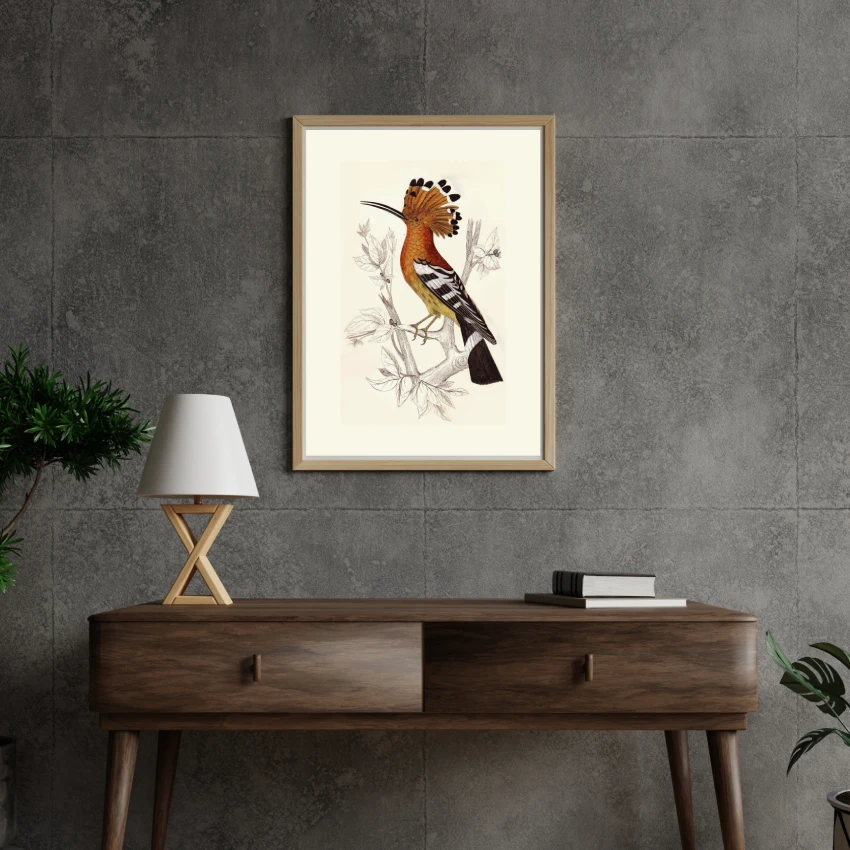 Hoopoes Bird Vector