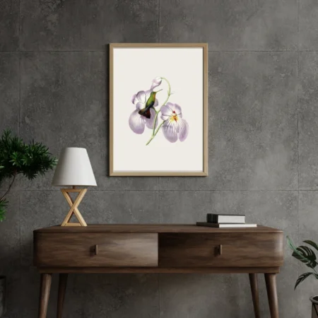 Humming Bird