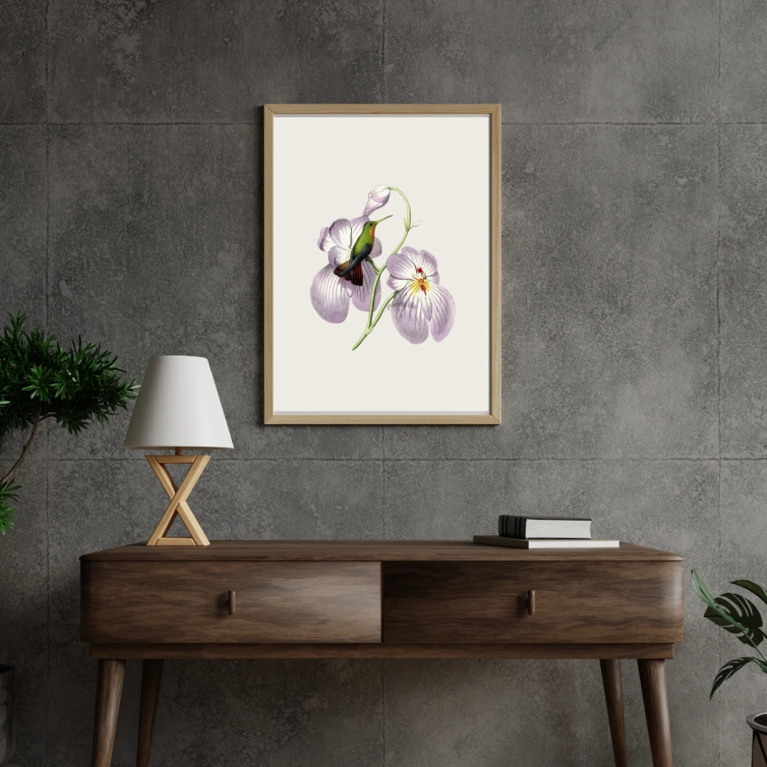 Humming Bird