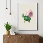 Hydrangea Harmony