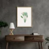 Lily Leaves