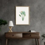 Lily Leaves