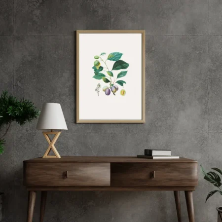 Olive Branch