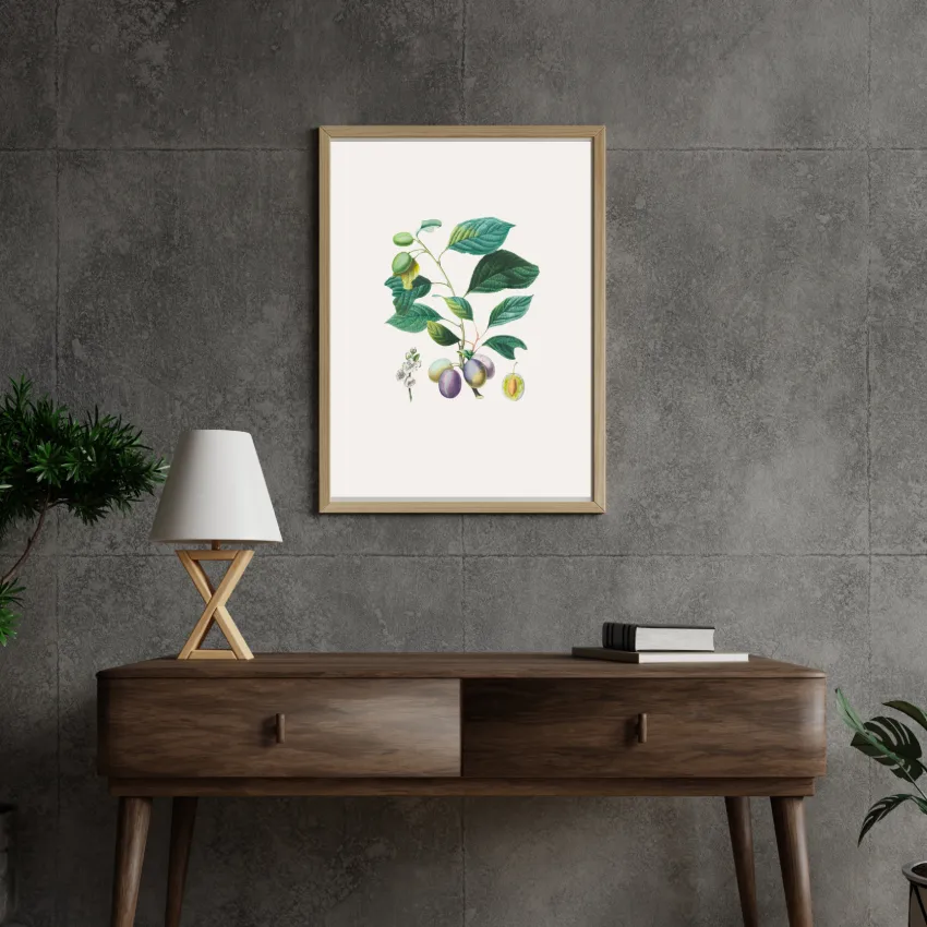 Olive Branch