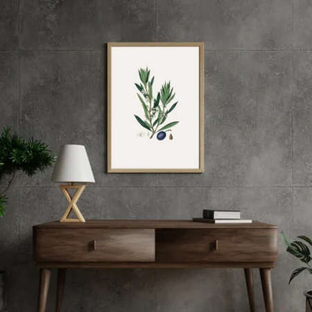 Olive Branch