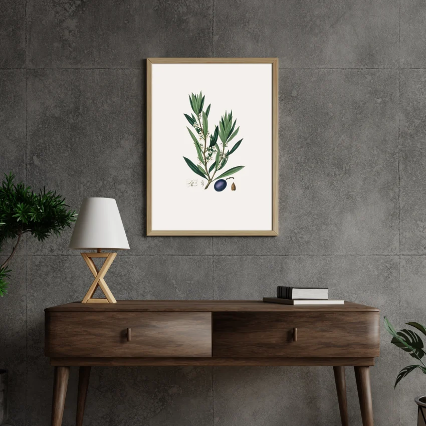 Olive Branch