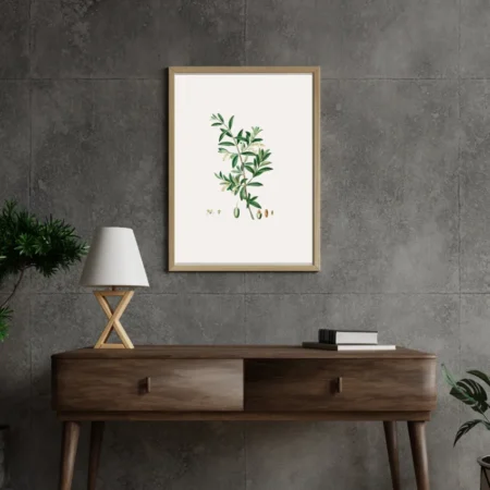Timeless Olive