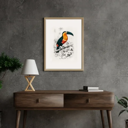 Tucan in the wild
