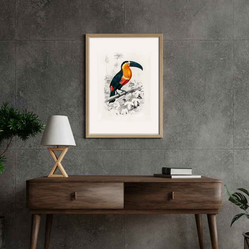 Tucan in the wild