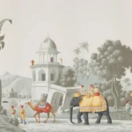 Majestic-Caravan -Yellow