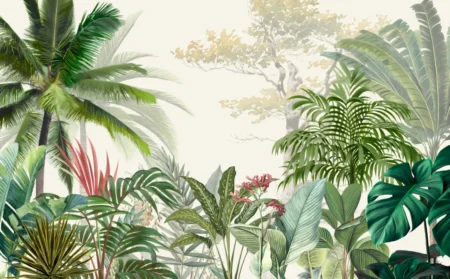 Enchanted Rainforest