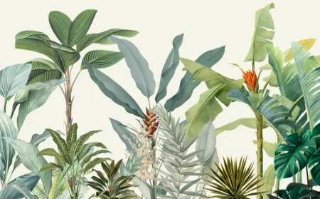 Tropical Whispers