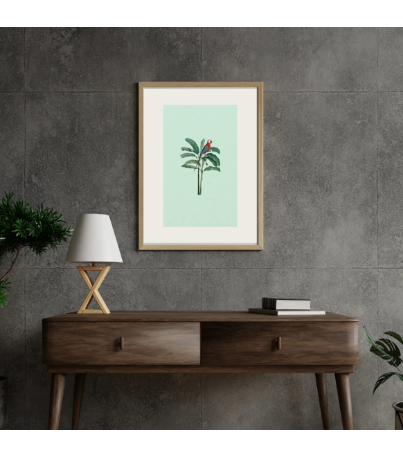 Red parrot in the wild - blue