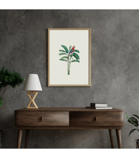 Red parrot in the wild