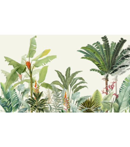 Palm Wonders