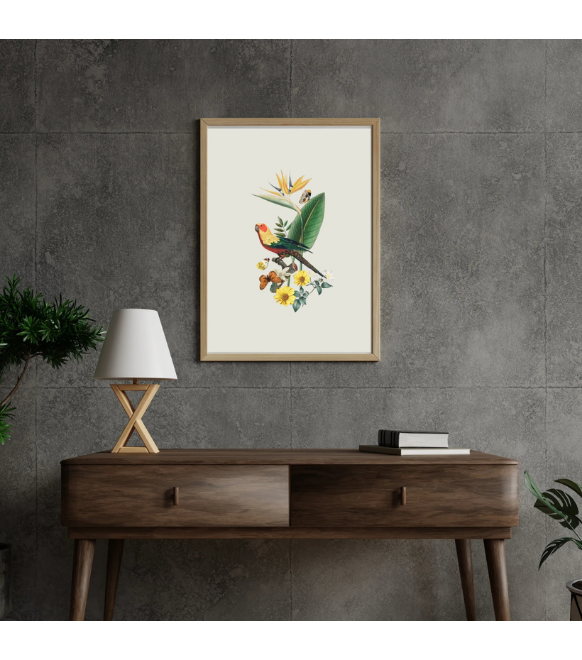 Parakeet in the wild