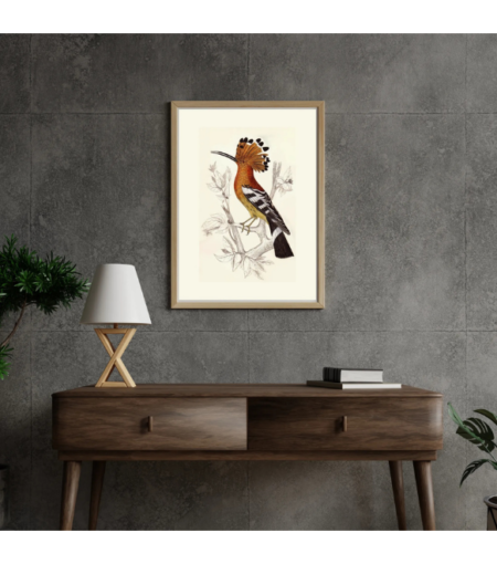 Hoopoes bird vector