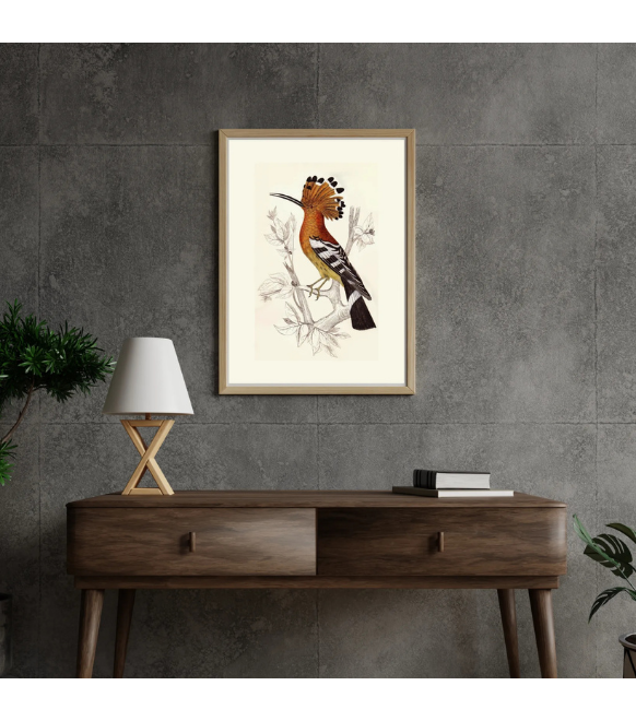 Hoopoes bird vector