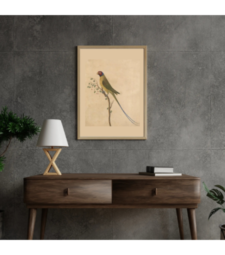 Vintage indian parrot