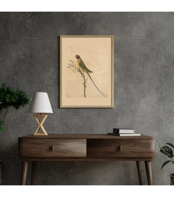 Vintage indian parrot